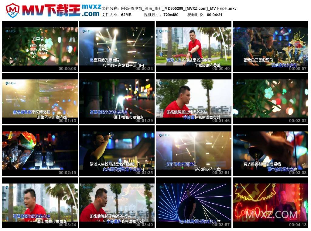 阿亮-酒中情_闽南_流行_MD305209